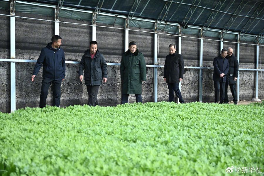 Xi Jinping visita i quadri di base e la popolazione di Tianjin alla vigilia della Festa di Primavera