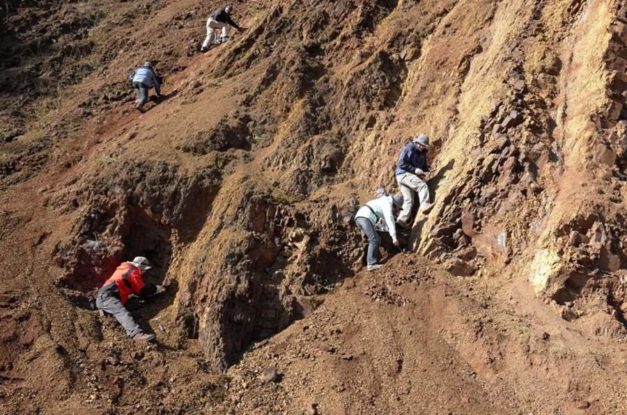 Ricercatori raccolgono campioni a Guizhou. (Foto per gentile concessione del gruppo di ricerca scientifica)