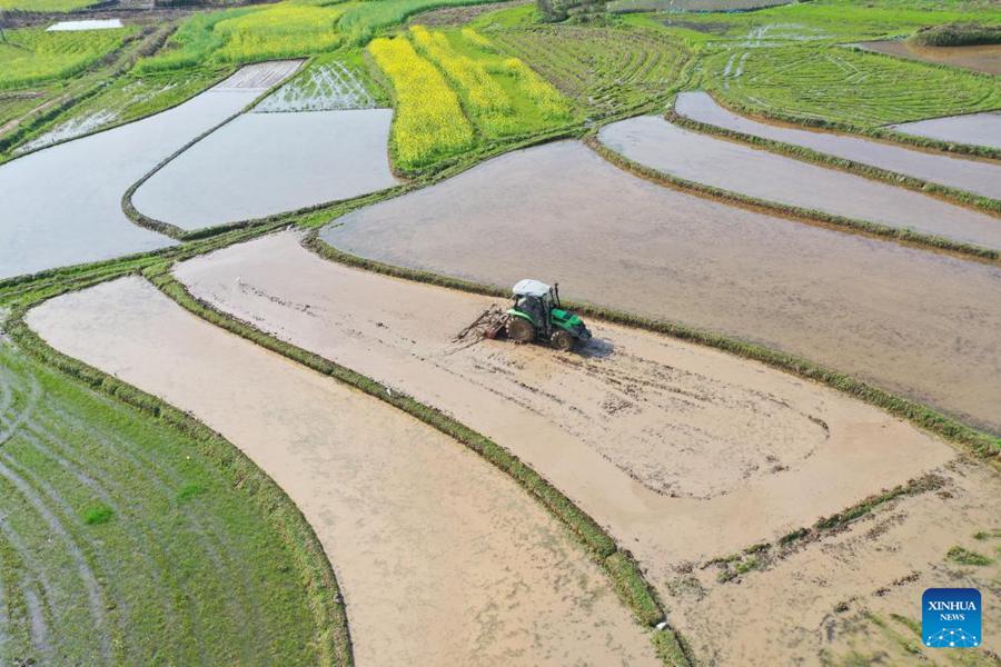 Lavori agricoli primaverili in corso in tutta la Cina