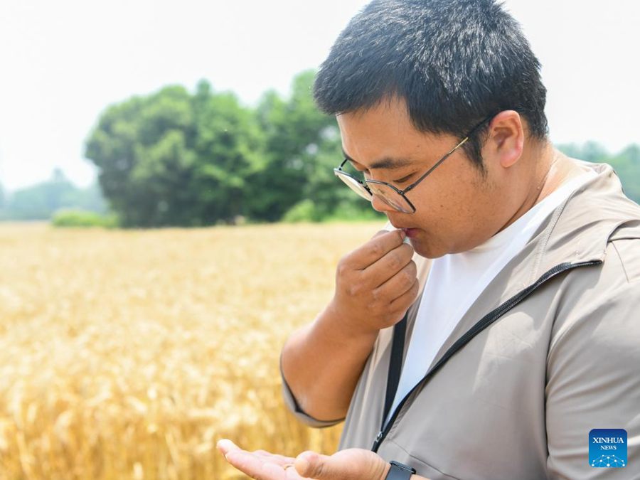 Giovane agricoltore utilizza tecnologia moderna per potenziare l'agricoltura tradizionale nel sud-ovest della Cina