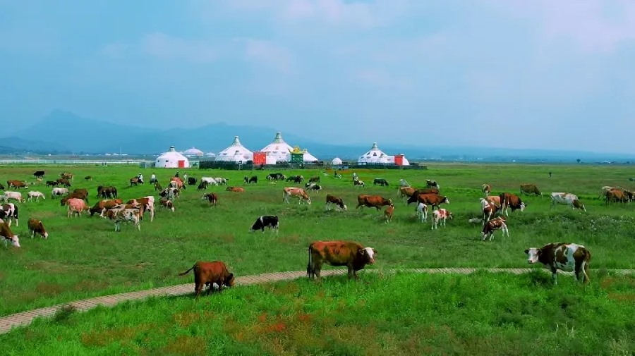 Hohhot, la famosa città storica sulla Via del Tè