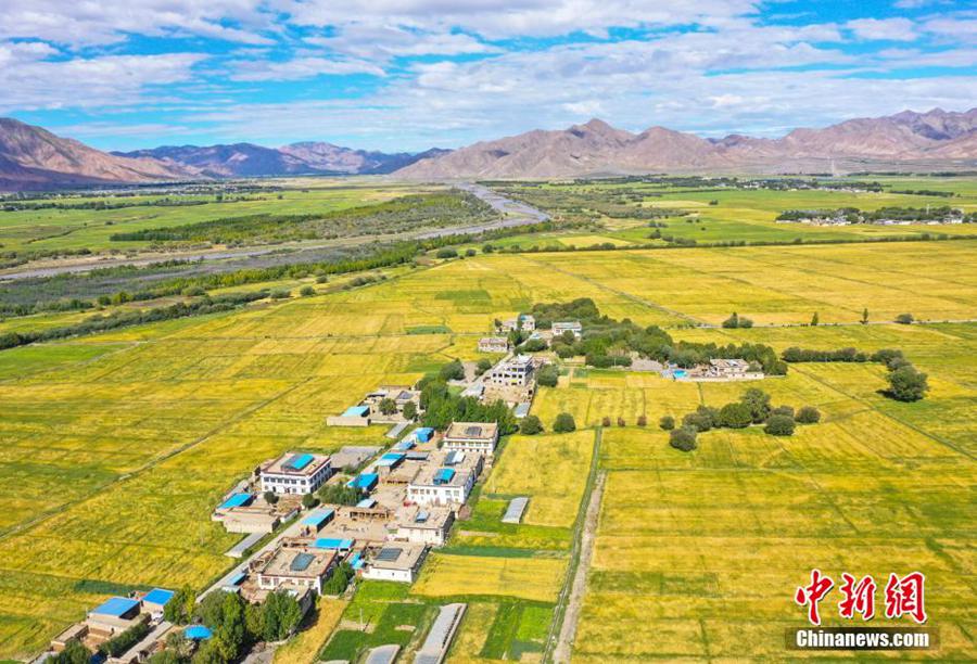 Xizang, panorama pittoresco in campagna di Bailang