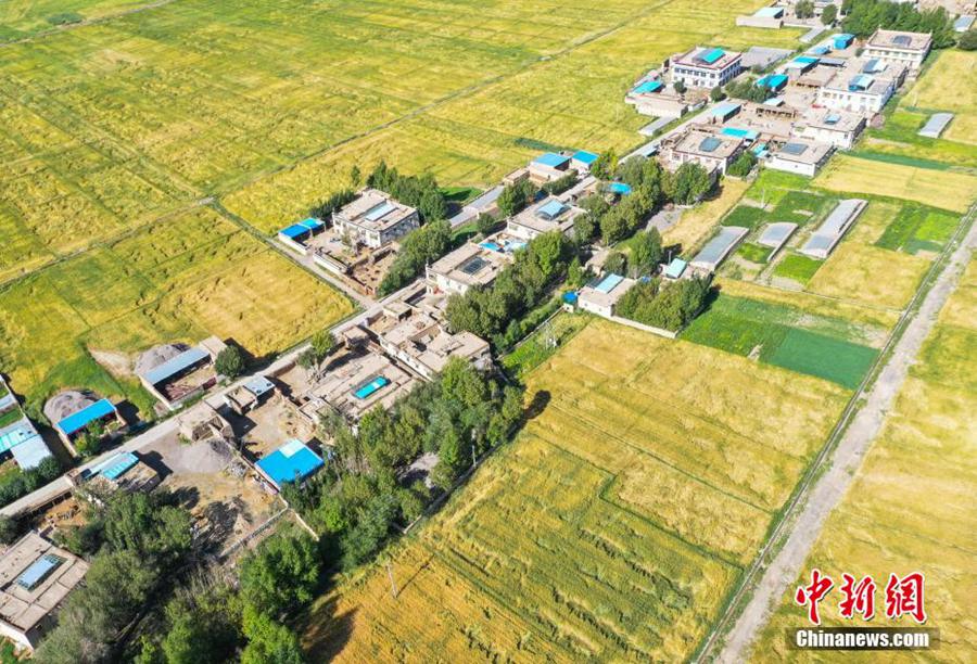 Xizang, panorama pittoresco in campagna di Bailang