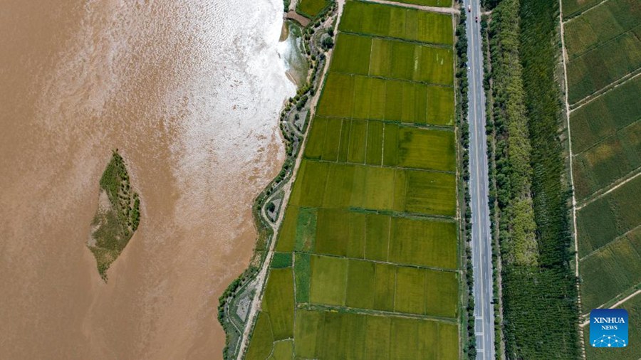 Paesaggio del Fiume Giallo nel Ningxia