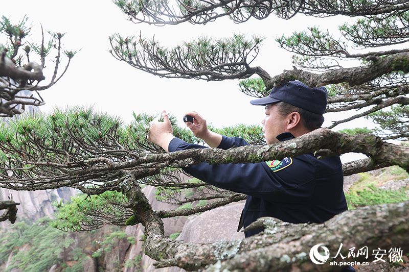 Hu Xiaochun al lavoro su una parete del monte Huangshan. (Quotidiano del Popolo Online/Zhang Jun)