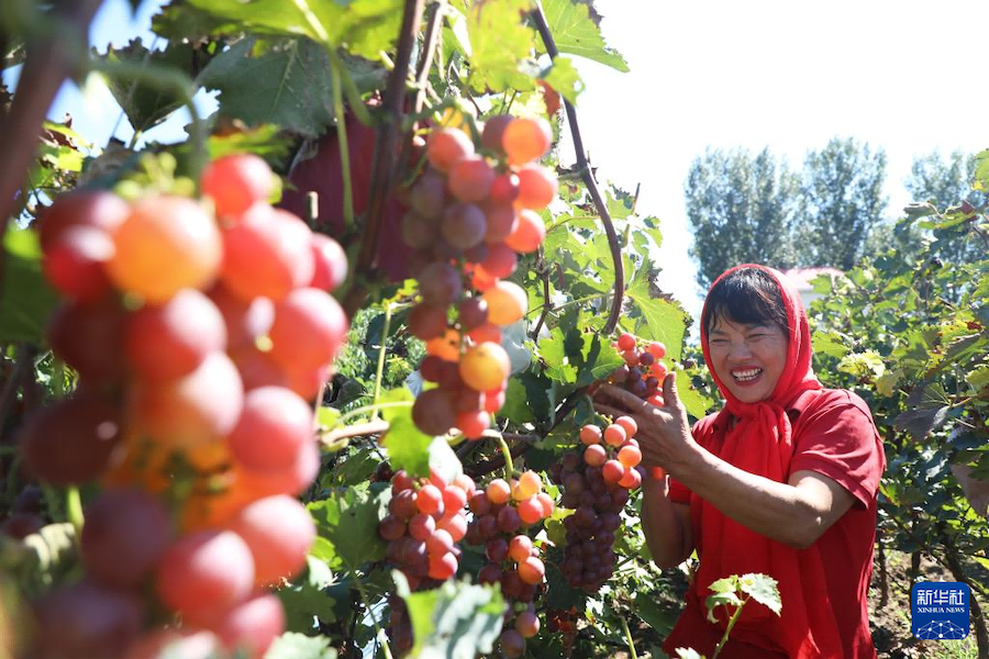 La Cina celebra la settima Festa del buon raccolto