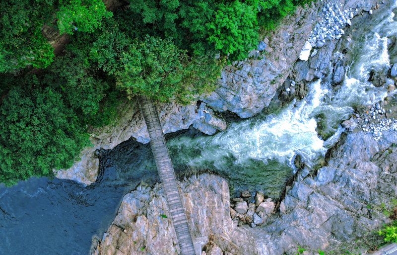 Azienda agricola forestale Houzhenzi, un corridoio ecologico da proteggere