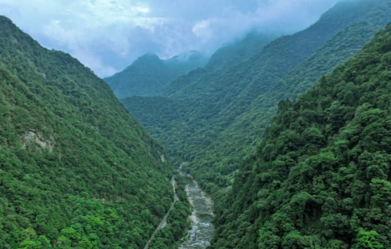 Azienda agricola forestale Houzhenzi, un corridoio ecologico da proteggere